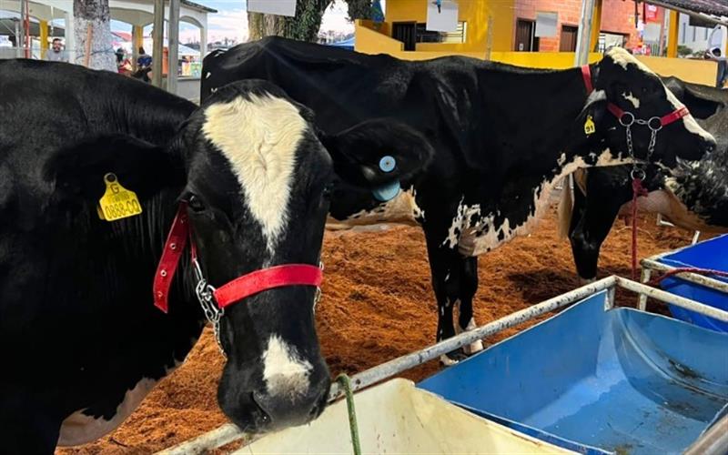 Expresso de Minas